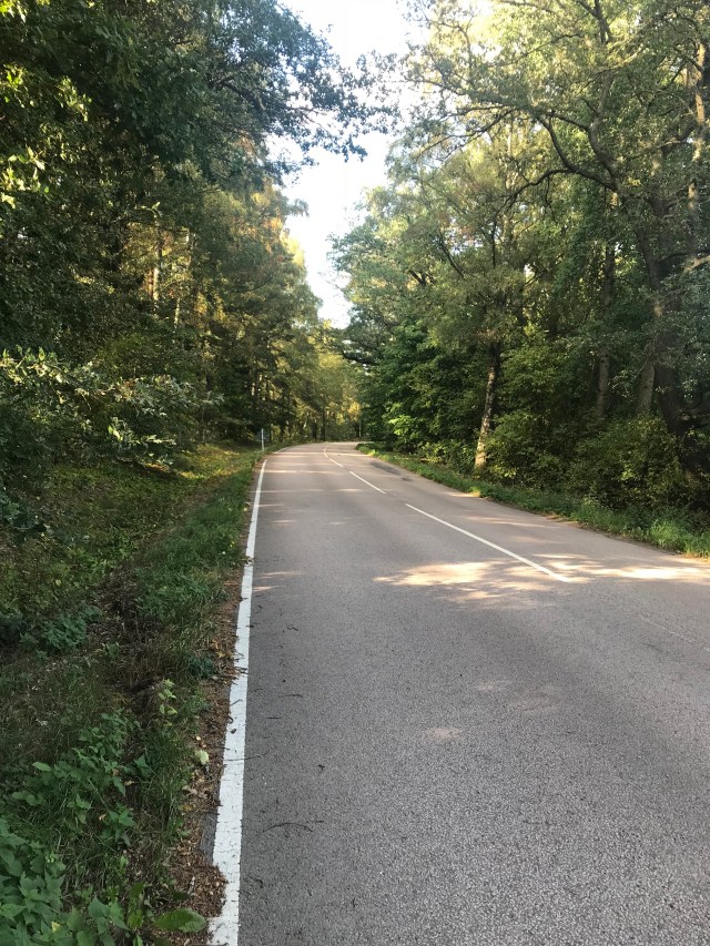 oS9WgeIRTDOJqNhXIwkoxg