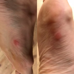 E15D6306-FD7B-4B9F-A0A9-46F36FCA19A1