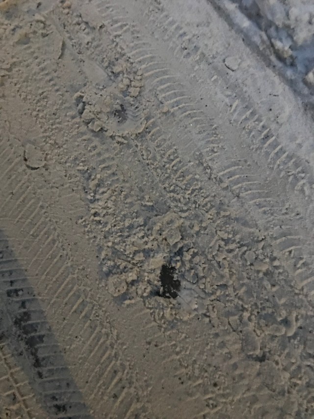 euo4nltjsc2b2bmfal4sh50w