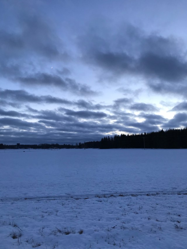 0KHrFiHZTIWeyLaNYX3uZA