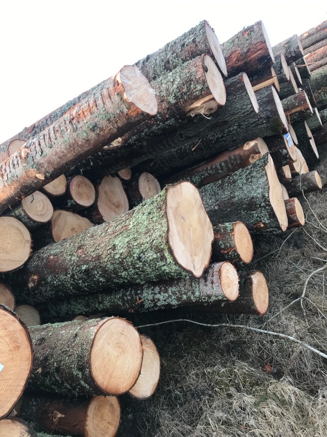 PSd6D29JSLOUHwBS9pGnOg