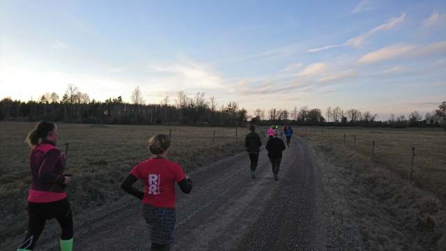 55901901_805479983148227_4638962166018342912_n